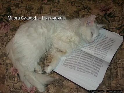 Нужно больше букв