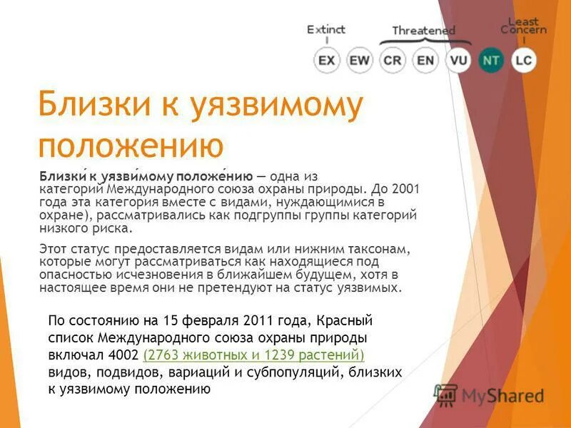 Уязвимое положение. Виды, близкие к уязвимому положению. В уязвимом положении.