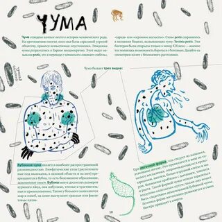 Как проходит чума