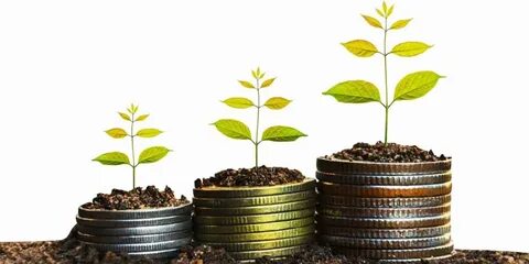 Exchange income