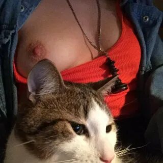 Какой котик красивый wub.gif.