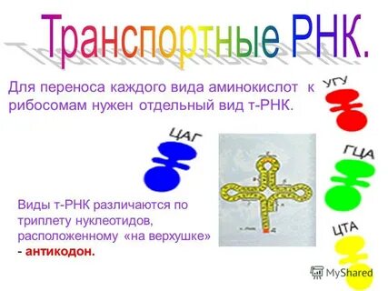 Каждый перенести