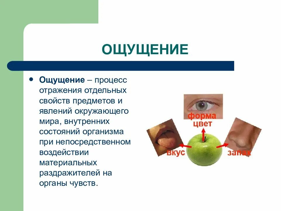 Ощущение это отражение в сознании человека. Отражение отдельных свойств и качеств предметов. Ощущение отражает отдельные свойства предметов и явлений. Процесс отражения отдельных свойств предметов. Отражение отдельных свойств и качеств предметов.