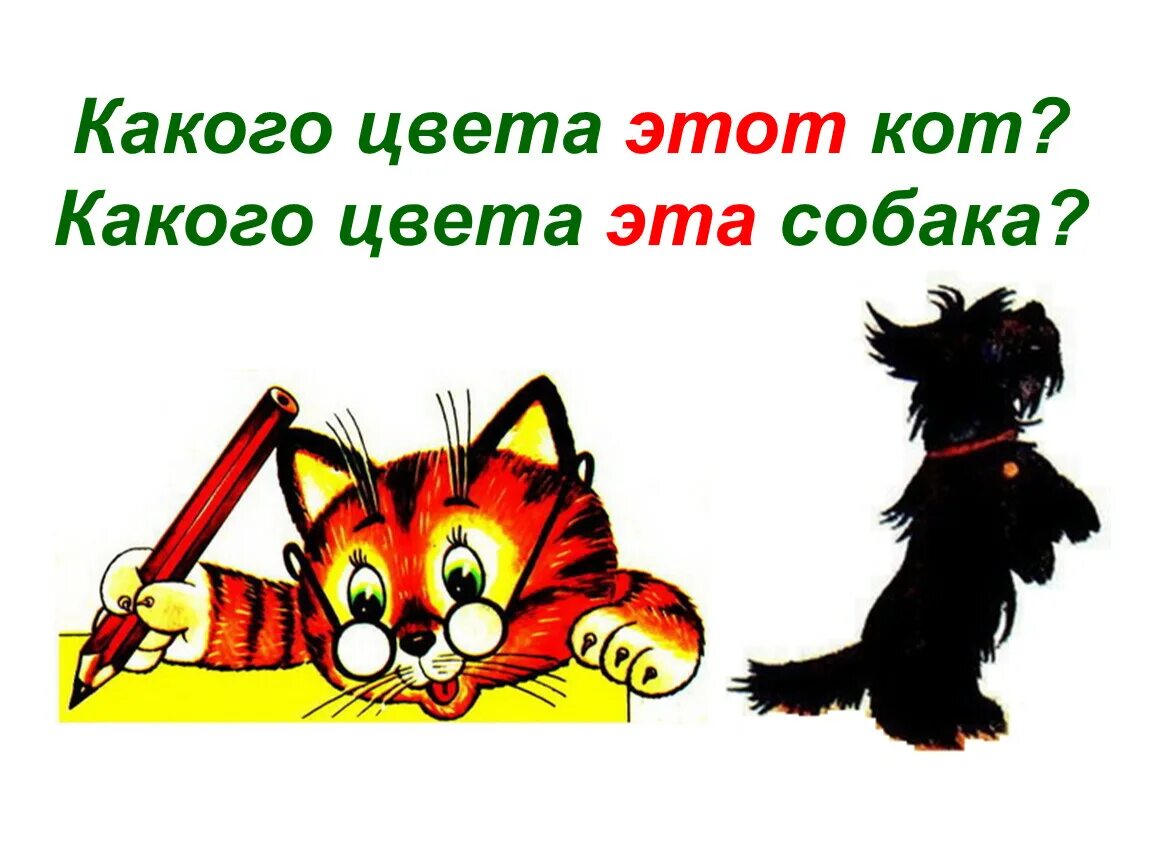 Значение цветов кота