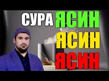 Сиратулло раупов ясин