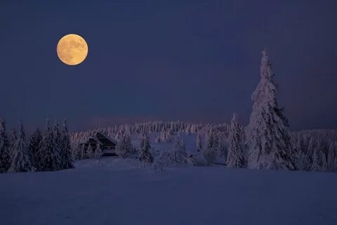 Самая длинная ночь зимой