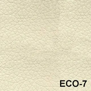 Eco 7