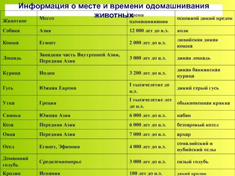 Центры происхождения животных. Центры одомашнивания диких животных. Центры доместикации животных таблица. Центры одомашнивания животных таблица. Дикие какое число