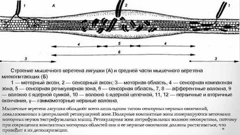23 строение
