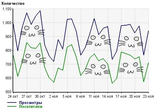 Статистика котов. Кот аналитик. Котировка кот. Статистика и котики. Котировки котики.