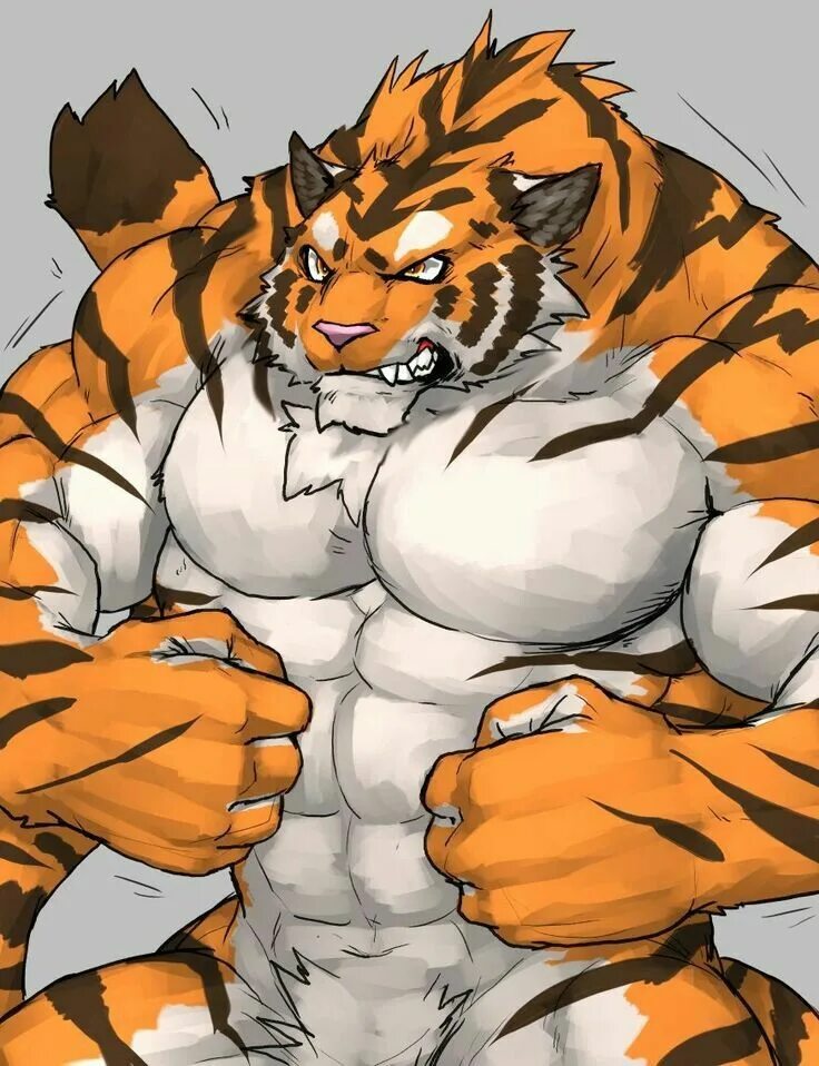 Фурри тигр. Tiger muscle. Тигрица качок. Фурри боксер. Фурри тигра.