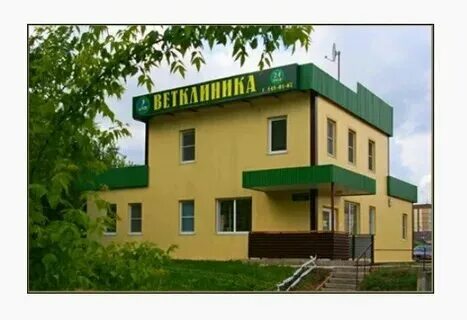 Ветклиника в красногорске. Ветклиника в красногорске