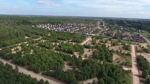 Шишкино парк домодедово