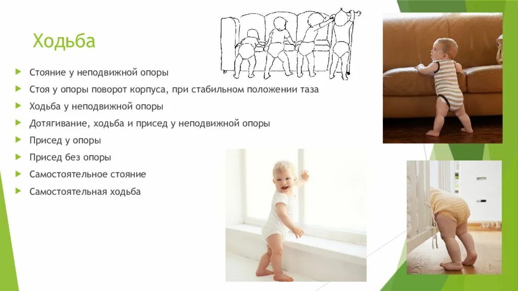 В каком возрасте стоит. В каком возрасте стоит