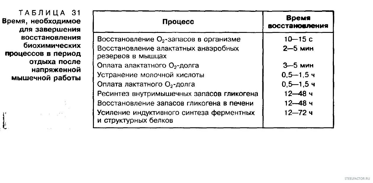 Время восстановления мышц после тренировки таблица