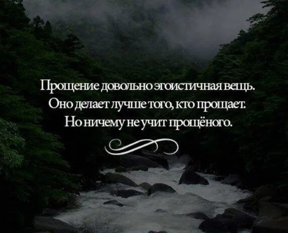 Извинение высказывания. Прощение довольно эгоистичная вещь. Цитаты о прощении. Простить цитаты. Прощение довольно эгоистичная вещь оно делает.