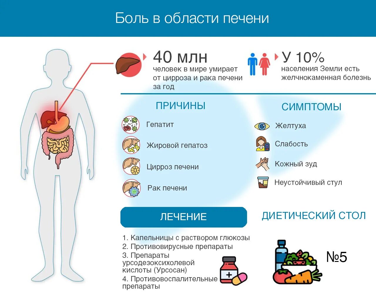 Жжение в области печени. Боль в области печени причины. Печень болит в правом боку.