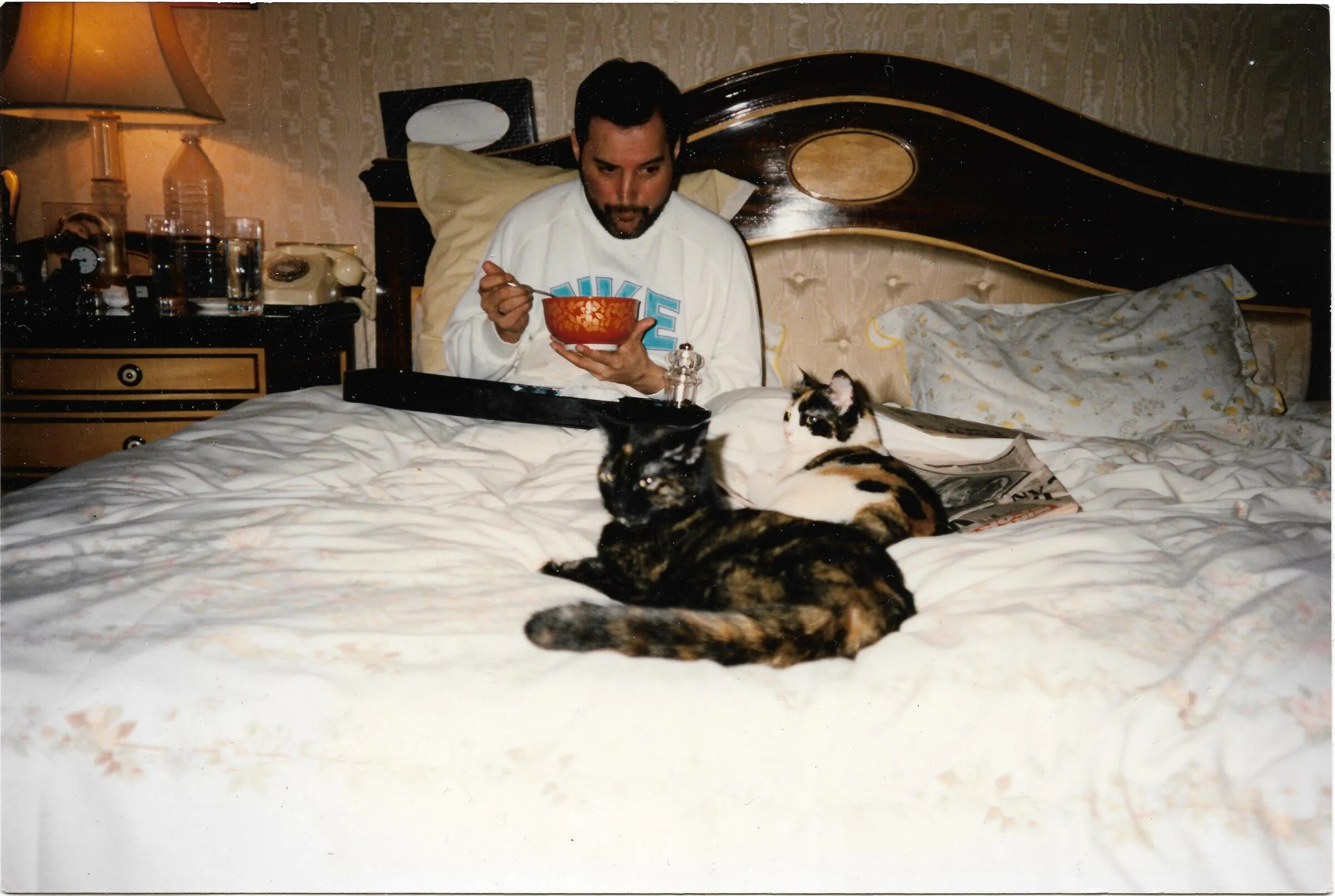 Жизнь фредди. Freddie mercury 1991. смерть фредди меркьюри. фредди меркьюри с кошками. фредди меркури перед смертью.