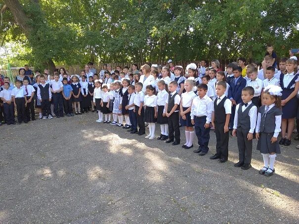 школа гбоу сош. гбоу сош оц село украинка. сайт гбоу сош оц с украинка. гбоу сош оц село украинка- детский сад. гбоу сош оц с украинка.