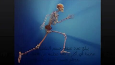 0 human