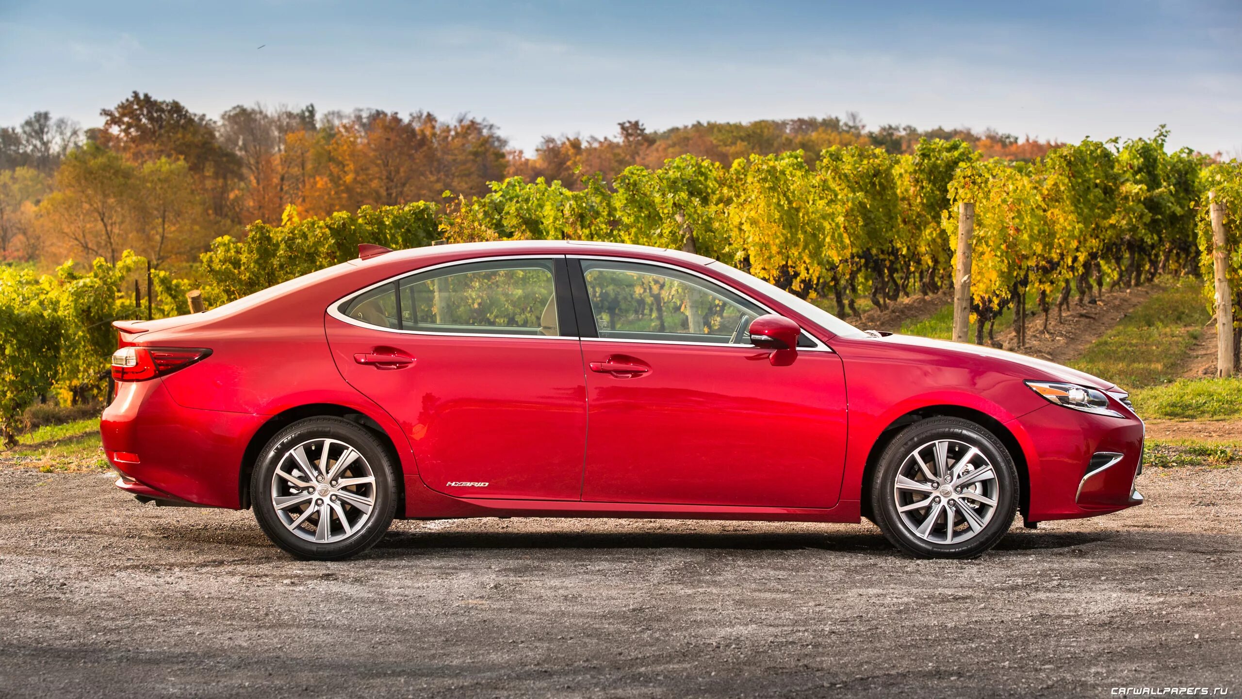 китайский автомобиль nio es8. кроссовер nio es8. лексус ес 300h. лексус es 300 2020. лексус ес 200 2016.