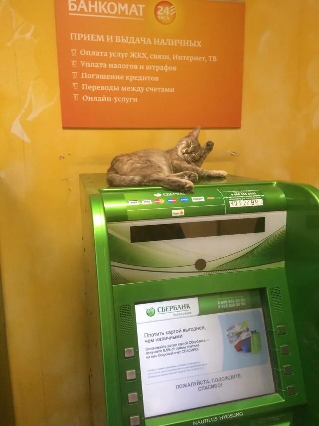 СберБанк, банкомат на улице Бахчиванджи, 14 в Екатеринбурге 