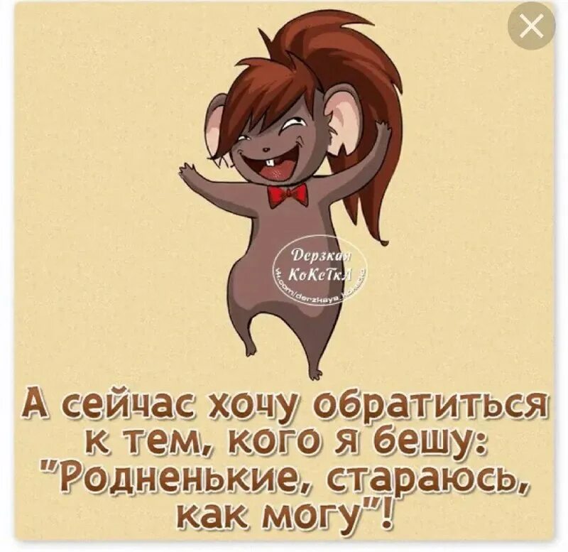 Хочешь подряд