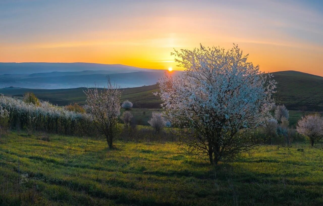 Утро 8 апреля. Красивый пейзаж. Солнечный пейзаж. Весенний рассвет.