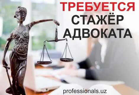 Стажер адвоката