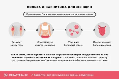 Карнитин для чего принимают женщины