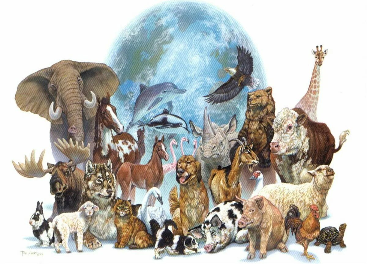Всемирный день животных