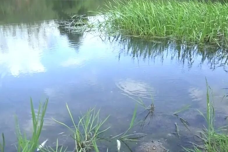 В башкирии вода. Река изяк. загрязнение рек башкортостана. а в башкирии вода. рыба изяк.