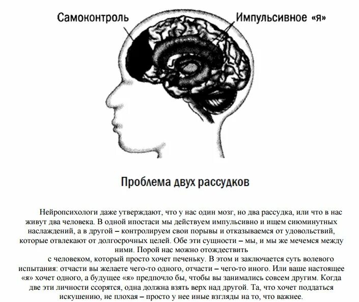 Воля и мозг. Сила воли в мозге. Центр силы воли в мозгу. Сила Воля и мозг книга.