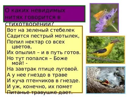 Какие невидимые нити между животными