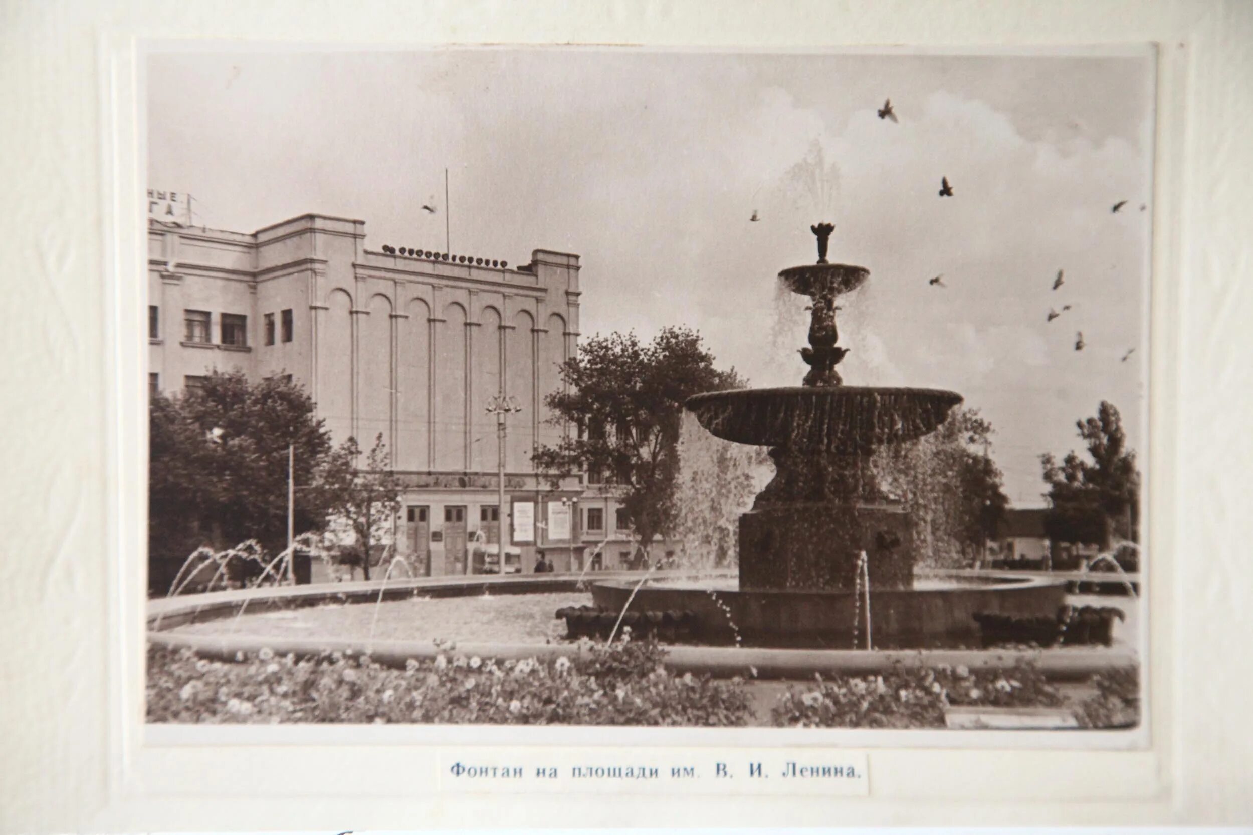 донецк универмаг белый лебедь. старый донецк. донецк 70х. старый донецк. старый донецк.