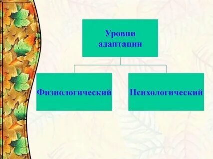 Уровни адаптации
