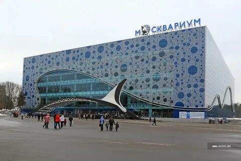 Центр океанографии москва