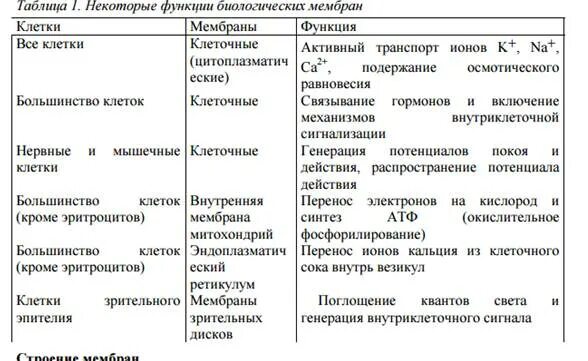 Оболочка строение и функции таблица. Структура клетки клеточная мембрана таблица.