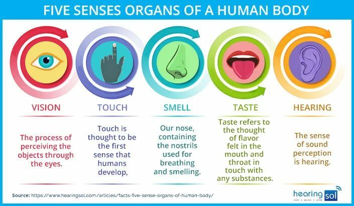 Out of senses