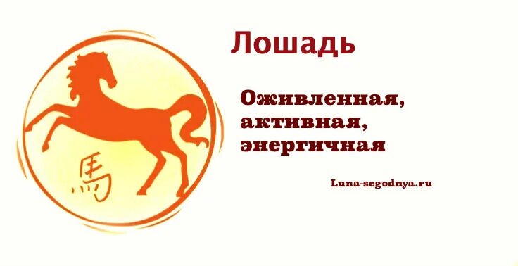 Лошадь знак зодиака года. Лошадь знак зодиака. Гороскоп за лошади. Лошадь года по гороскопу. Картинка год лошади знак зодиака.