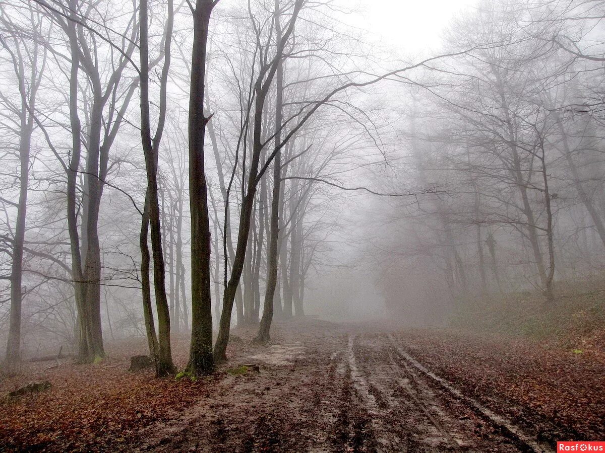 сугробы слякоть. зима в россии грязь слякоть. первый снег. снег и слякоть. российская слякоть и зима.