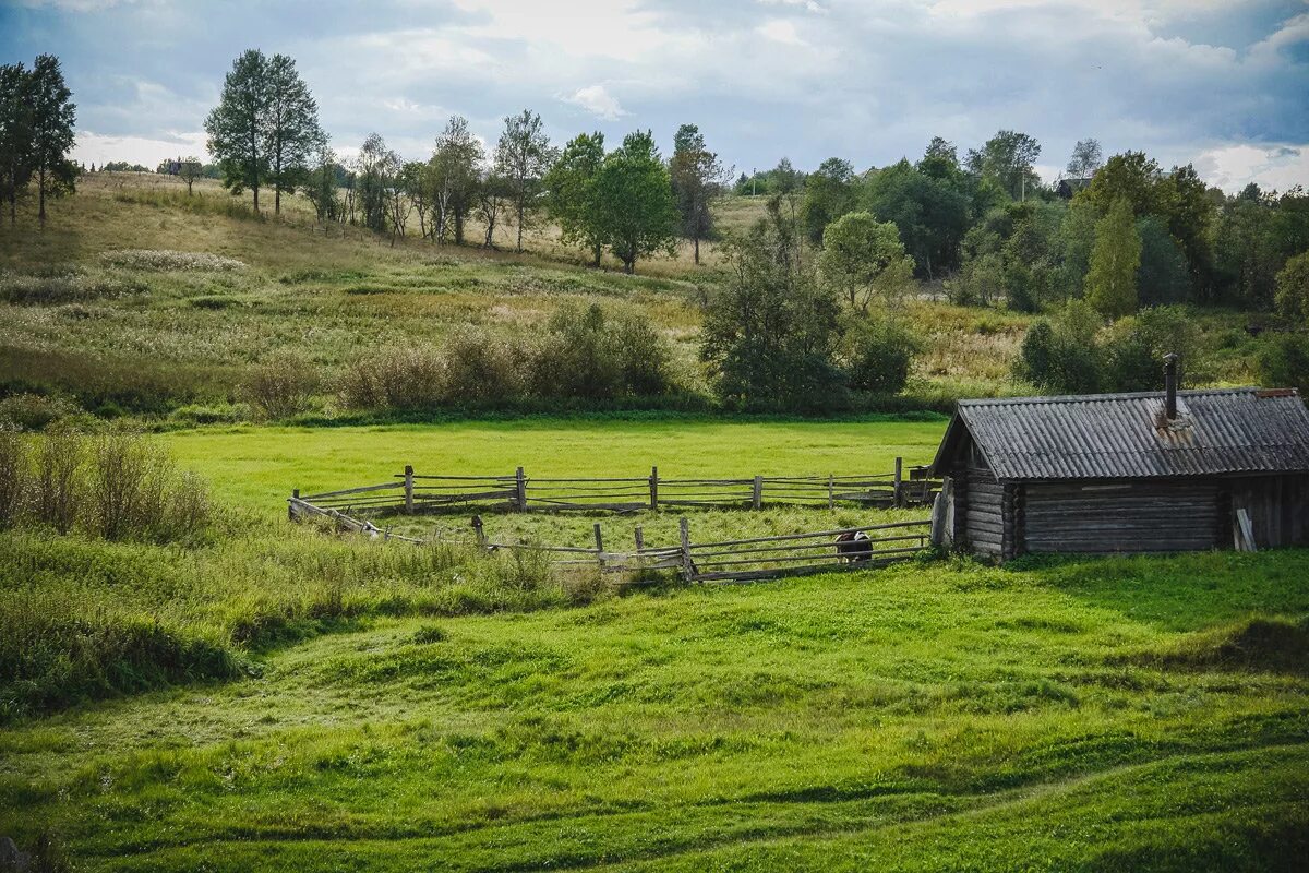 Деревенские пейзажи фото. Деревенский пейзаж. Лето в деревне. Красивые Деревенские пейзажи. Сельский вид.