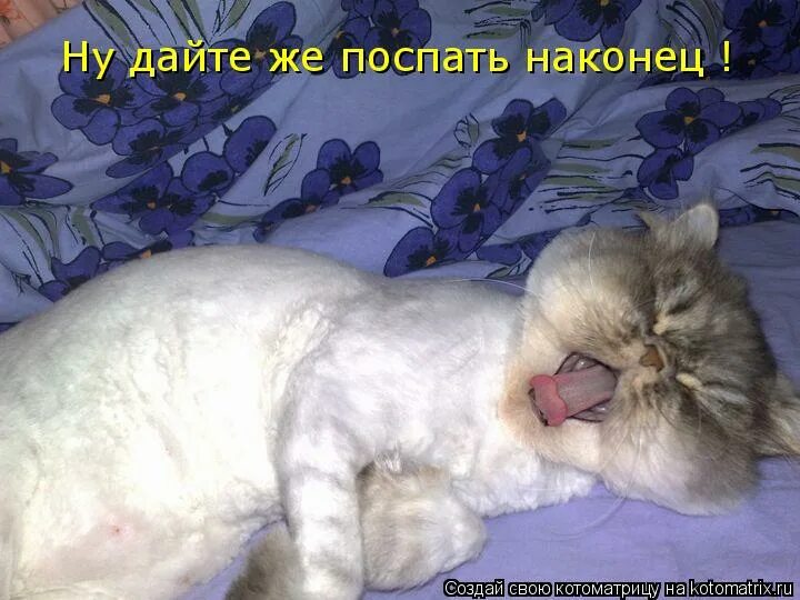 Уже сплю картинки. Спать, только спать. Тоже не спится. Ржунимагу надпись. Всем спать.