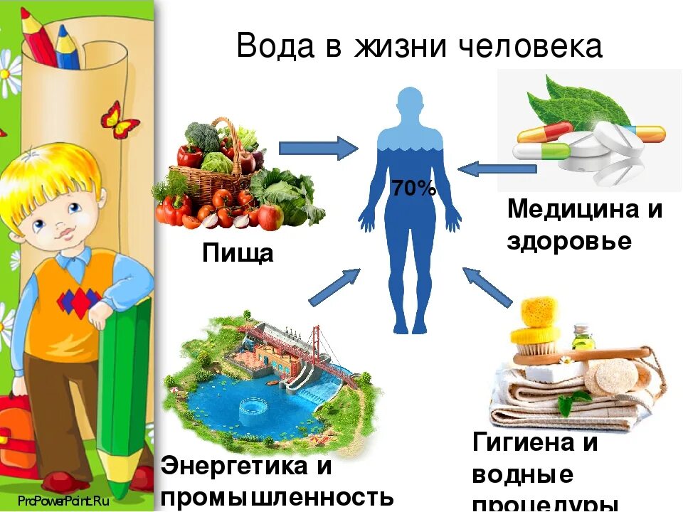 Вода значение питание. Вода в жизни человека. важность воды в жизни человека. значение воды в жизни человека. важность воды в жизни человека для детей.