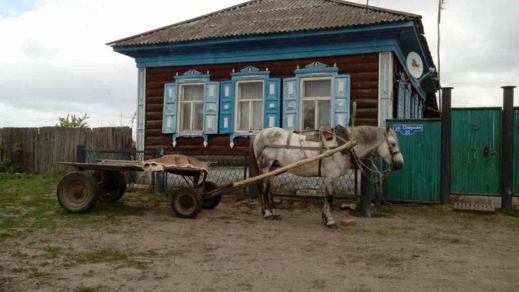 Увальная бития. Село верблюжье Омская область Саргатский район. Деревня верблюжье Омской области. Деревня Увальная Бития. Озеро верблюжье Омская область.