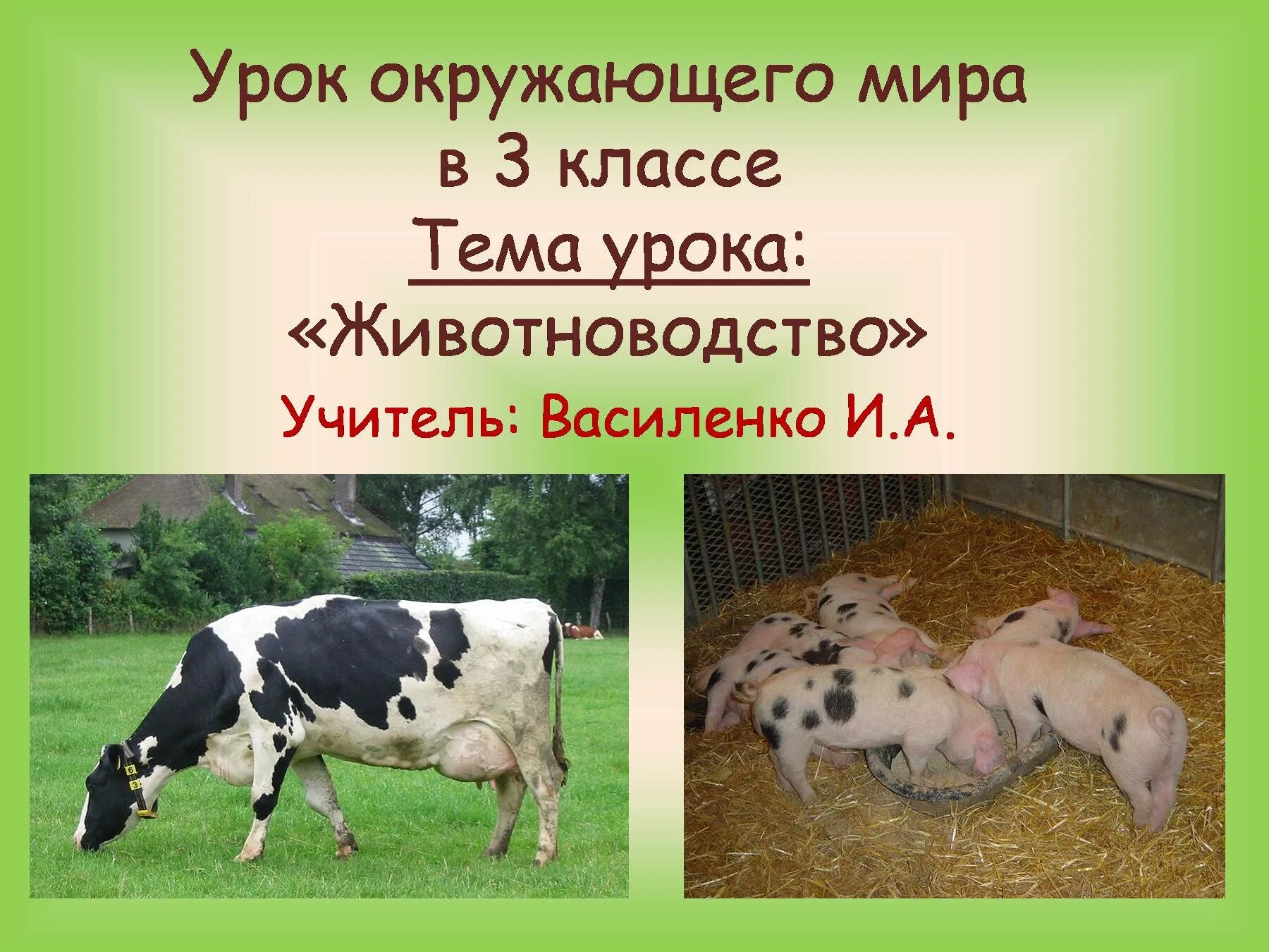 Сообщение о сельскохозяйственном животном 3 класс окружающий. Животноводство 3 класс окружающий мир. окружающий мир 3 класс тема животноводство. животноводство 3 класс презентация. животноводство тема урока.
