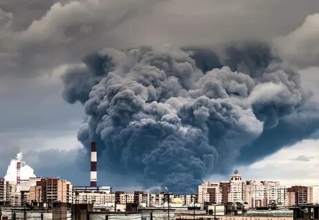 Экология современной жизни