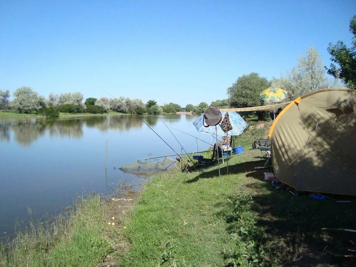 Платные пруды в Краснодарском крае. Платные водоёмы для рыбалки в Краснодарском крае. Рыболовные базы Краснодарского края. Рыбалка в Краснодаре.