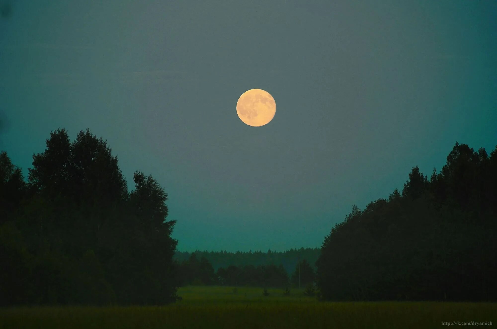 Луна поднималась и освещала. Восход Луны. Ночное поле с луной. Поле ночью. Вечерняя Луна.