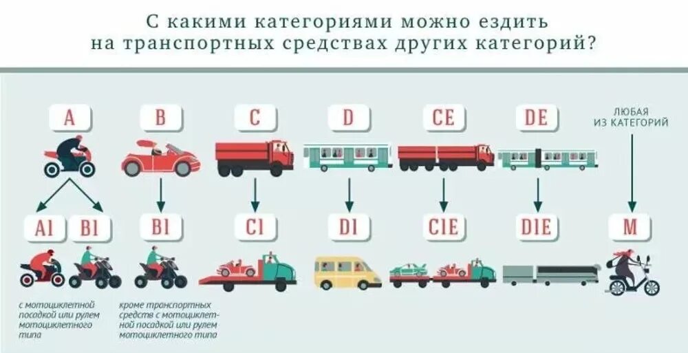 Со скольки можно ездить на ласточке